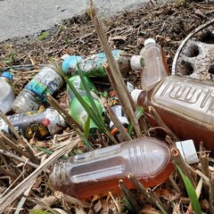 ＜受付終了＞3/30ふじさんのごみひろい参加者募集中！